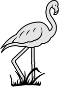 3243