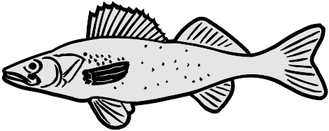 Products – tagged walleye – MemorialDESIGNER