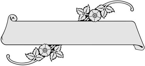 3376