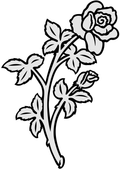 3563b