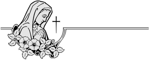 4228