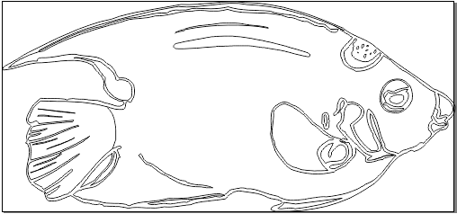 10A106