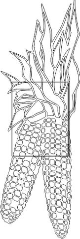 10M019