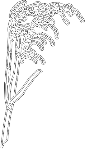 10M042