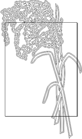 10M043