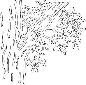 10N005