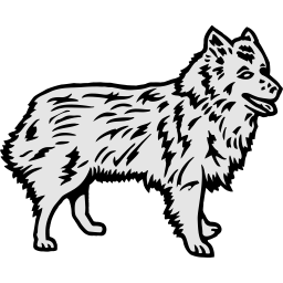 11A069