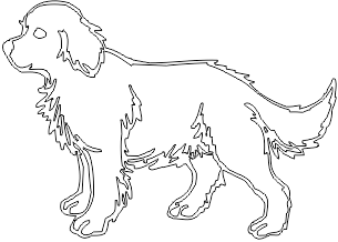11A079