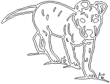 11A081