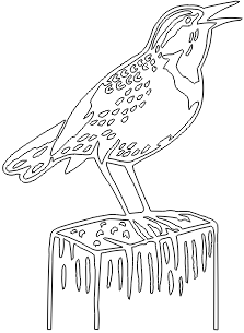 11A100