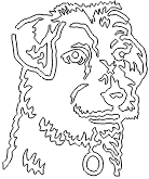 11A116