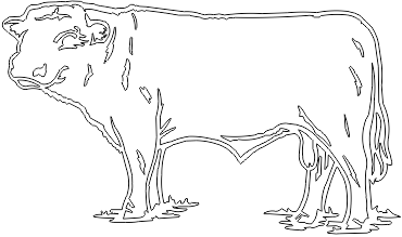11A117