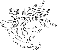 11A119