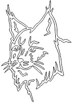 11A120