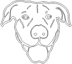 11A129