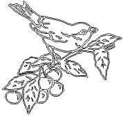 11A148