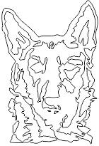 11A156