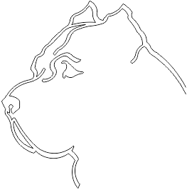 11A164