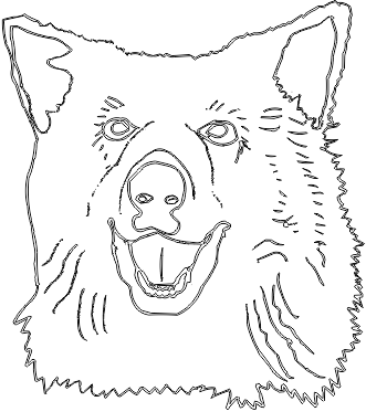 11A197
