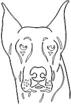 11A198
