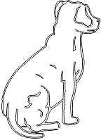 11A199