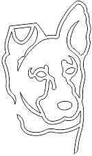 11A204