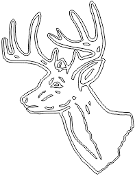 11A211