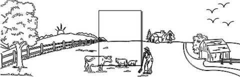11C010
