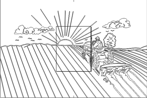 11C015