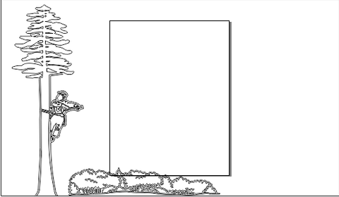 11C016