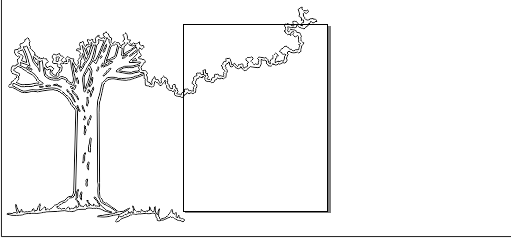 11N008