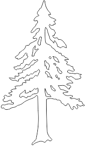 11N024