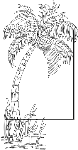 11N031