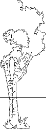 11N049