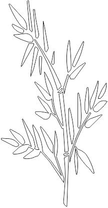 11N055