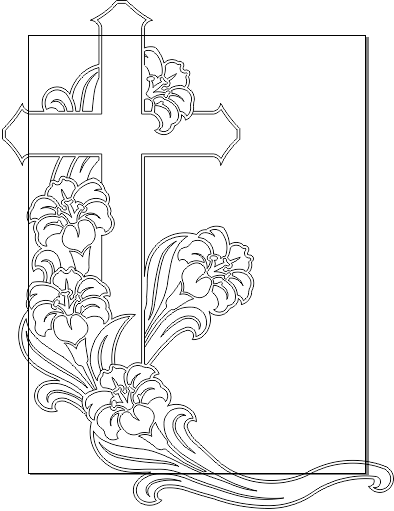 11R224