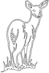 12A124