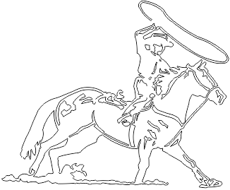 12C003