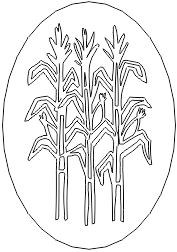 12N048