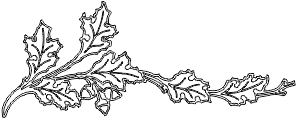12N051