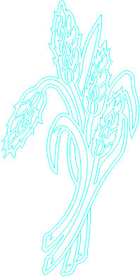 12N123