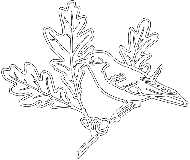 13A036