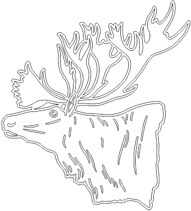 13A236