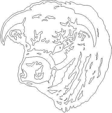 13A252
