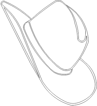 13M007