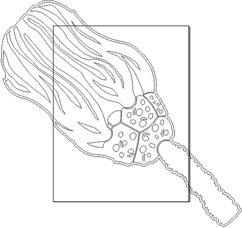 13M008