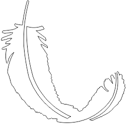 13N061