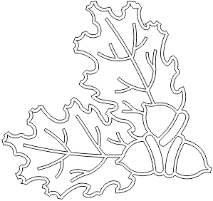 13N114