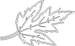 13N118