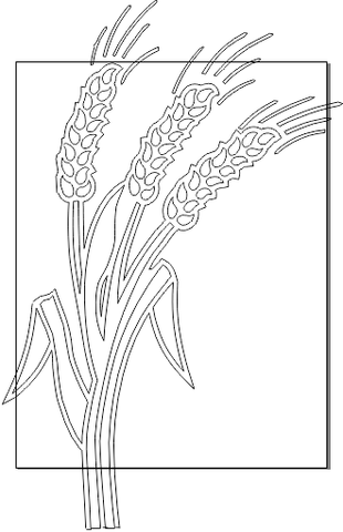 13N145